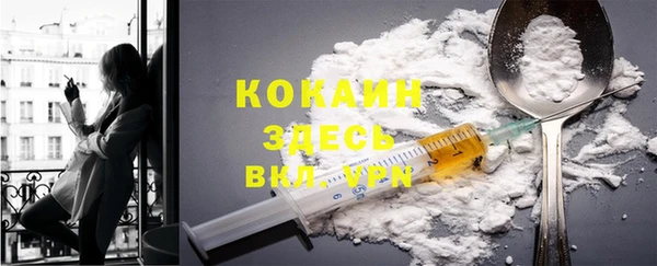 соль ск Бронницы